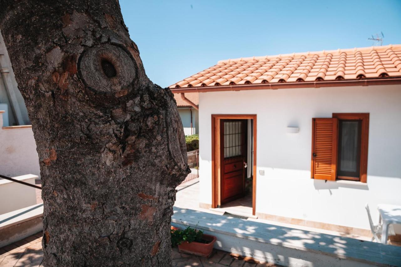 Magnolia Rooms Civitavecchia Exteriér fotografie